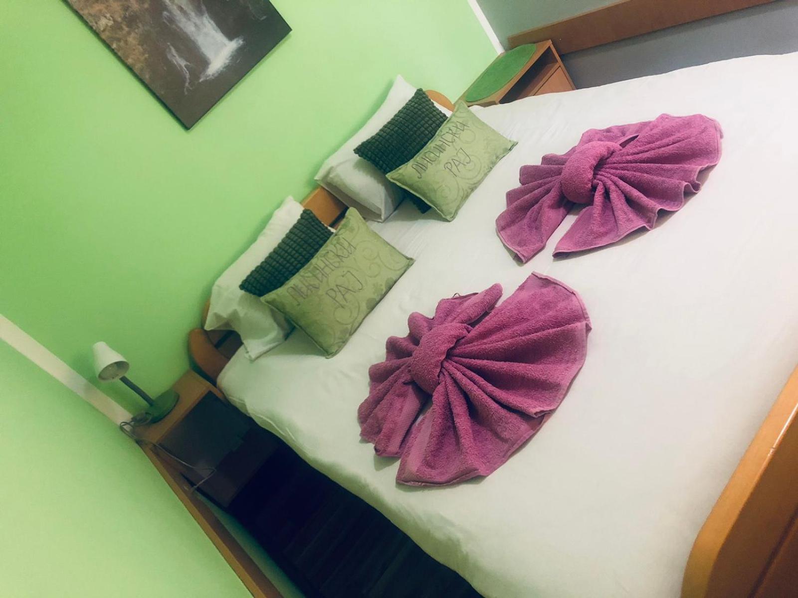 Guest House Lisinski Raj Despotovac Chambre photo