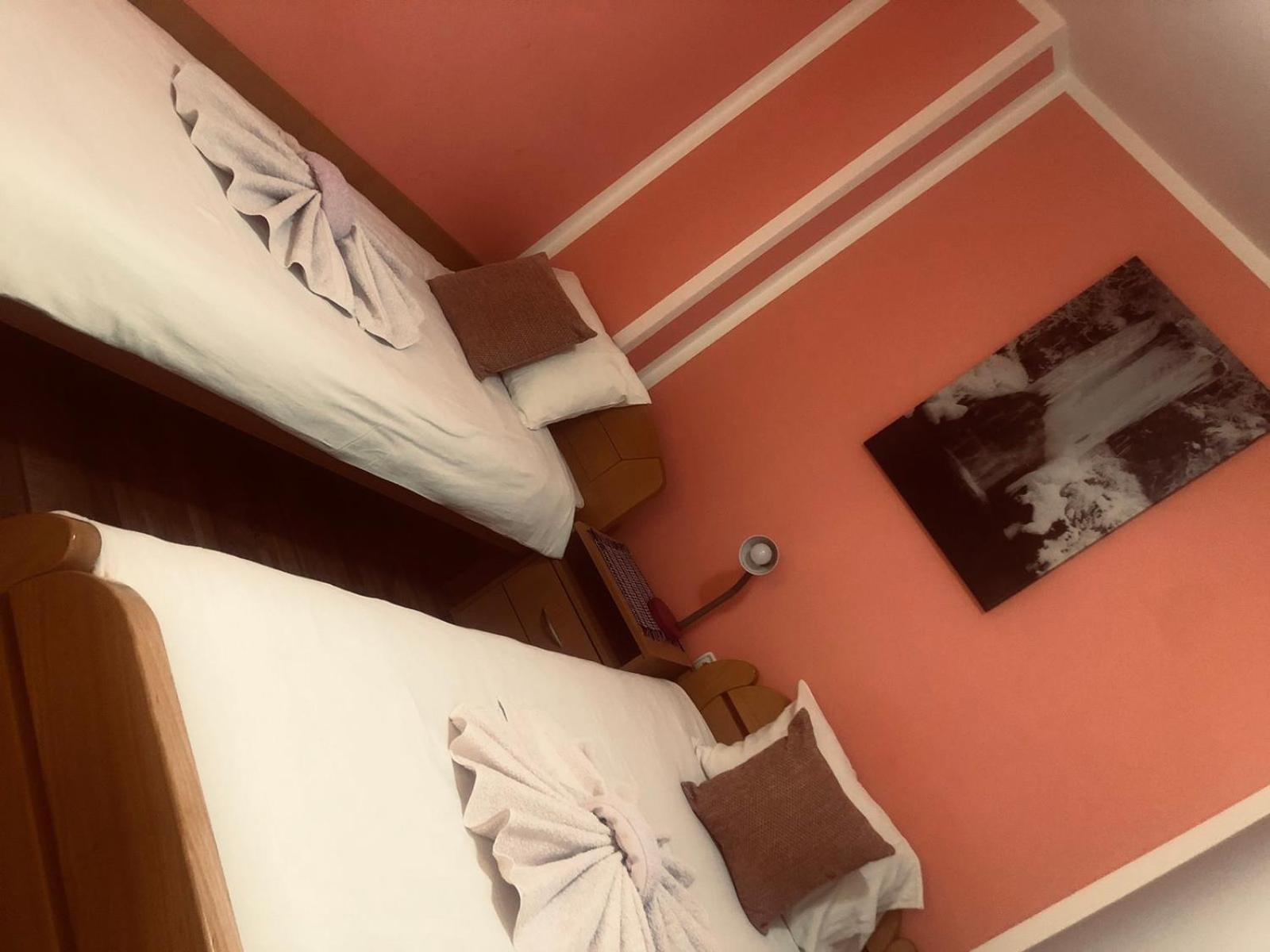 Guest House Lisinski Raj Despotovac Chambre photo