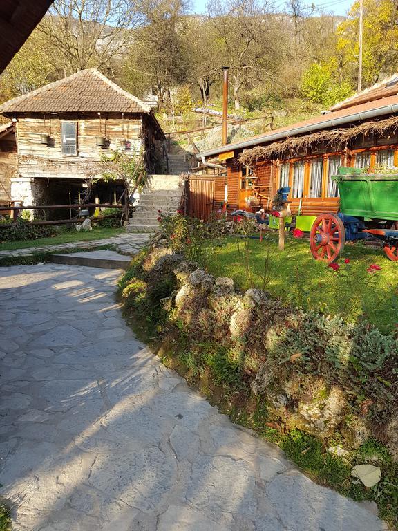 Guest House Lisinski Raj Despotovac Extérieur photo