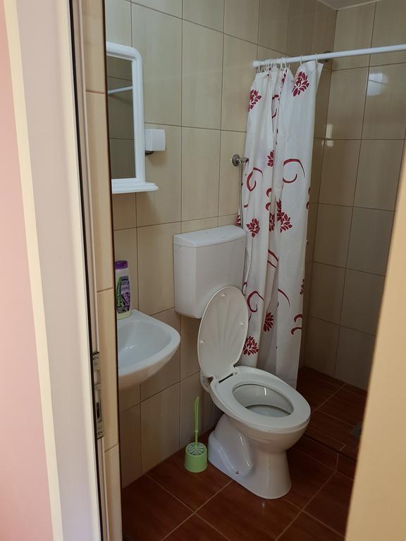 Guest House Lisinski Raj Despotovac Extérieur photo